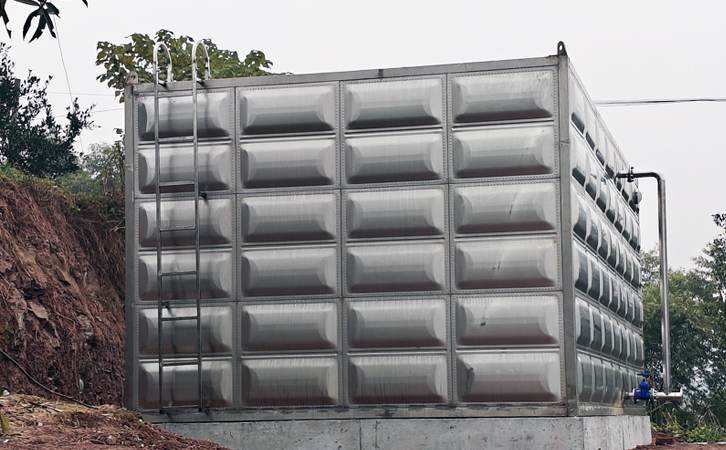 1765769392809385.jpg 301.jpg